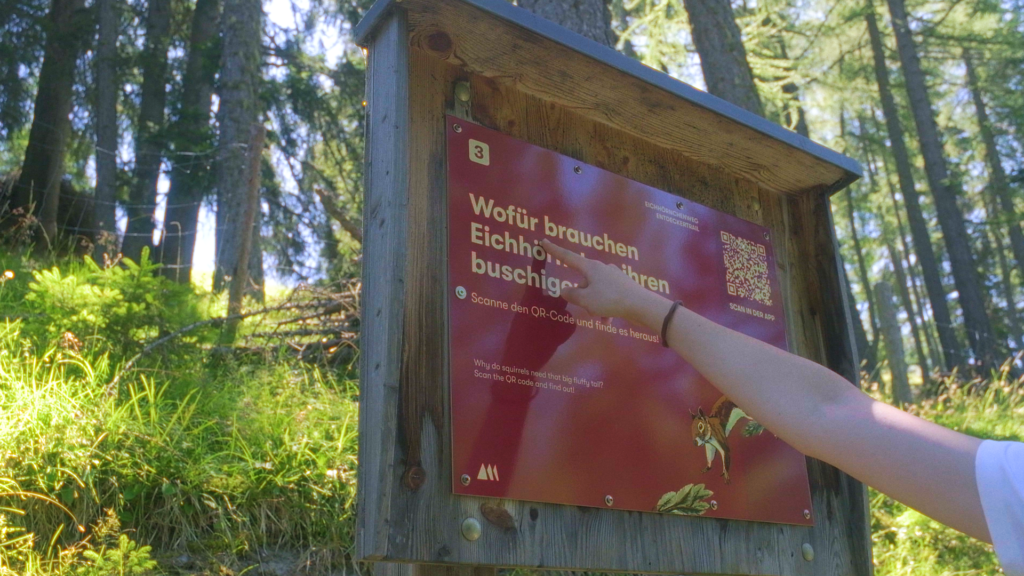 Hand zeigt auf eine Infotafel am Eichhörnchenweg mit der Frage „Wofür brauchen Eichhörnchen ihren buschigen Schwanz?“, daneben ein QR-Code zum Scannen.